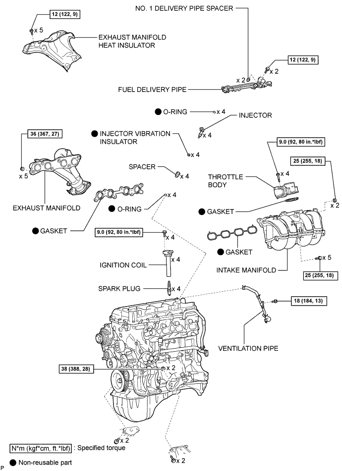 A01DYNWE01