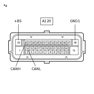 C278421C13