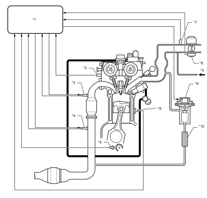 A01OCYTC01