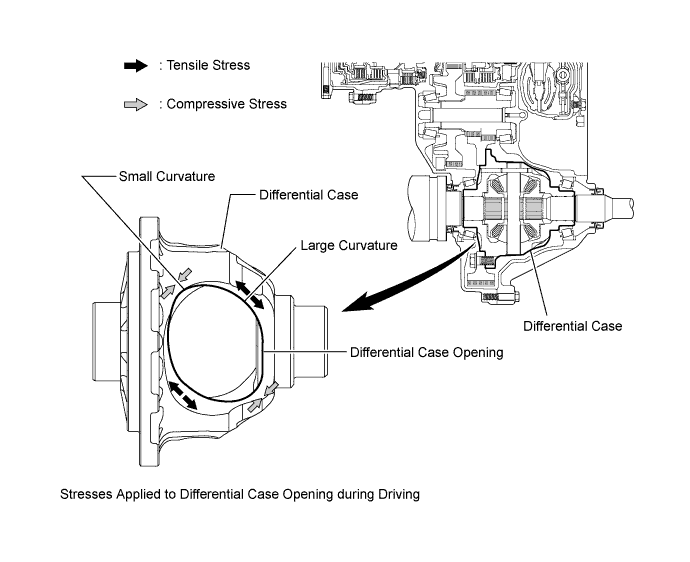 A01FCZLE02