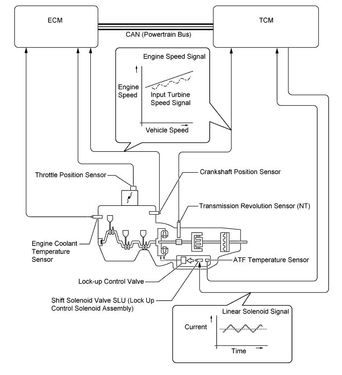 A01FBSUE01