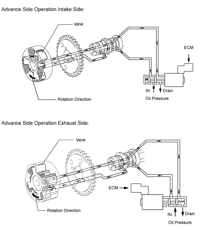 A019PNVE02