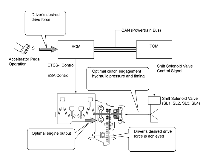 A019PTBE01