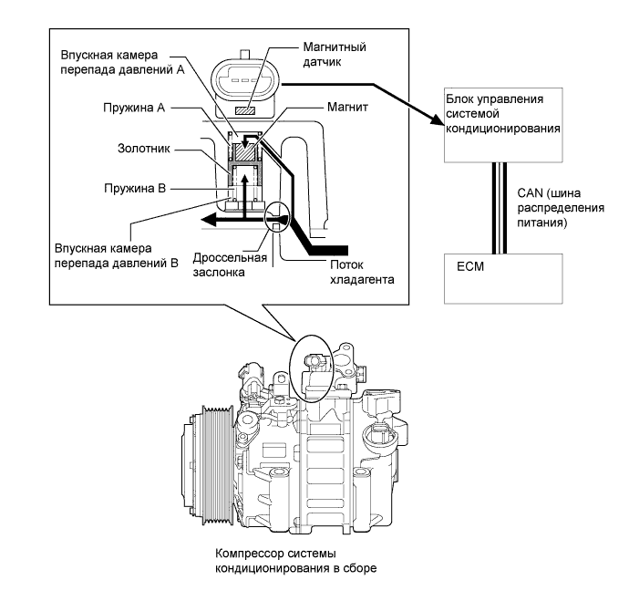 A019PPNE01