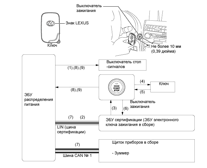 A019PPVE01