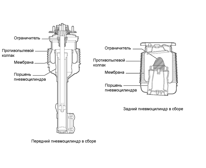 A019PSYE01