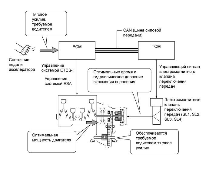 A019PTBE01