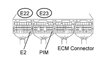 A01CGXCE13