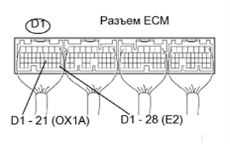 A01BDNSE42