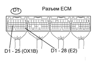 A01BDNSE44