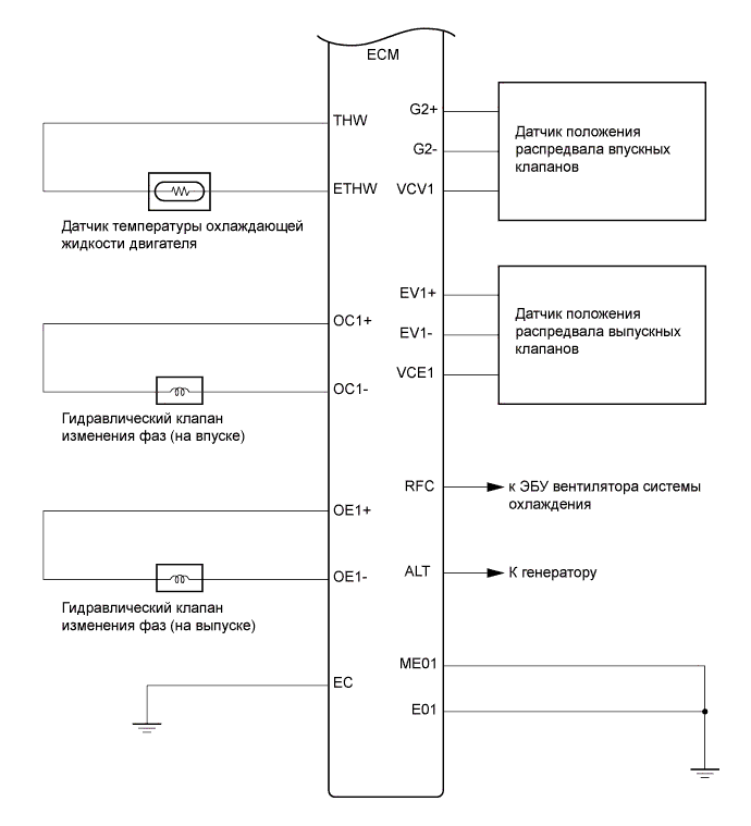 A005V81E01