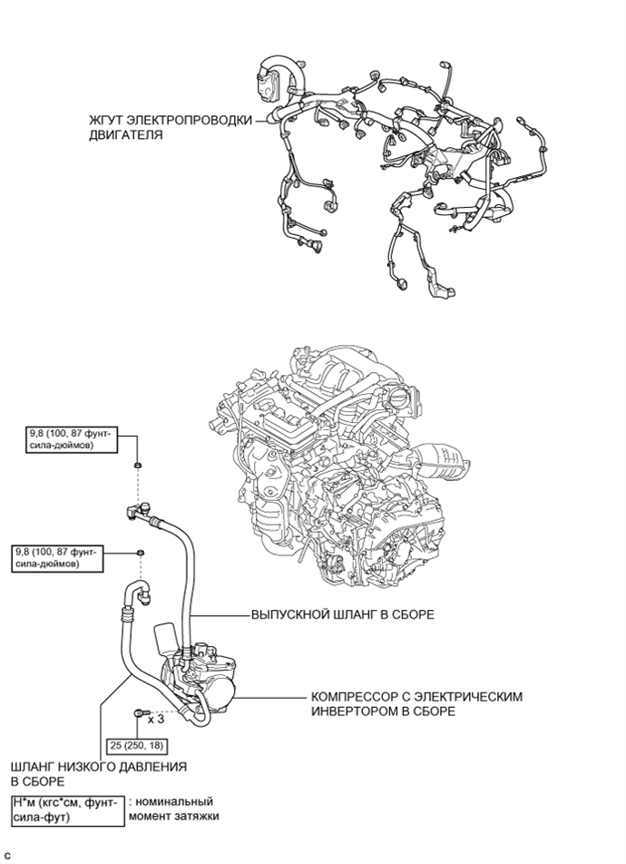 A01NCXQE01