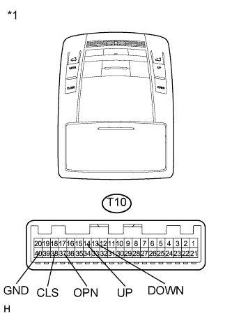 A01NELAE01