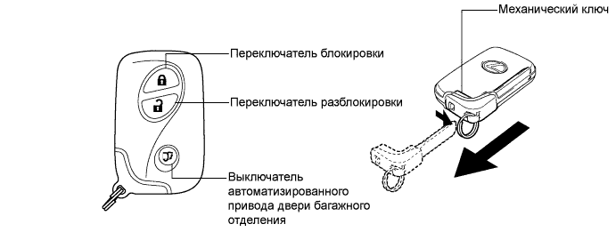 A01NERZE01