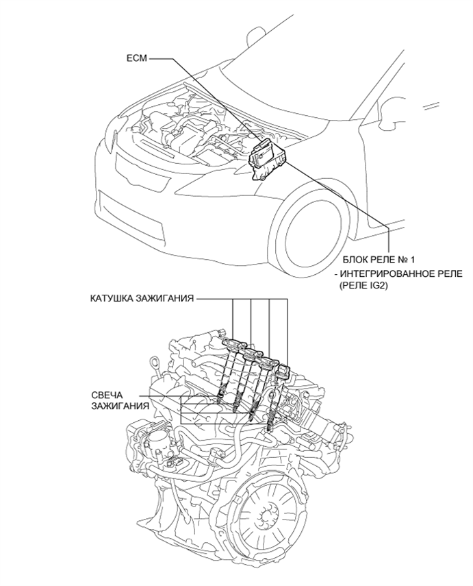 A003ZP6E01