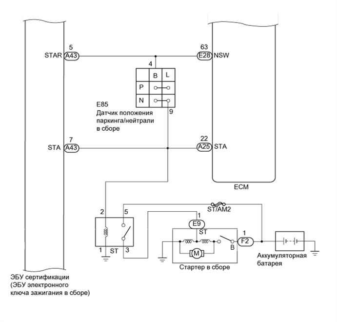 A01EUCYE02