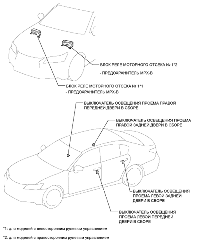 A01FIMUE01