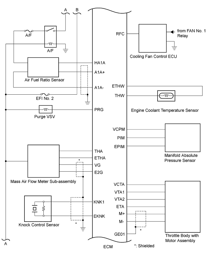 A01FSUNE01