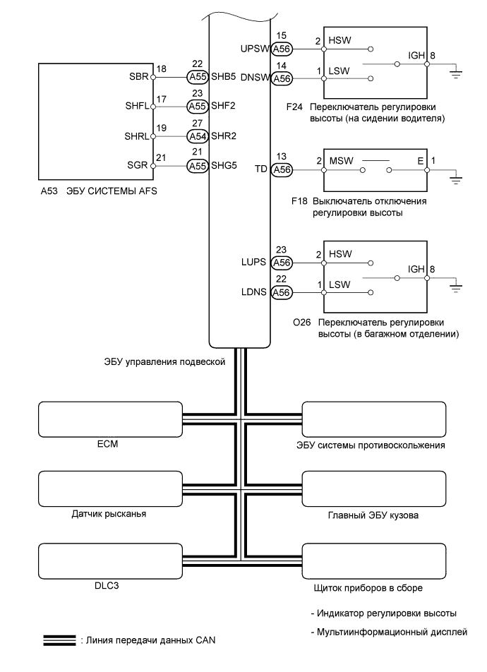 A019MYGE02