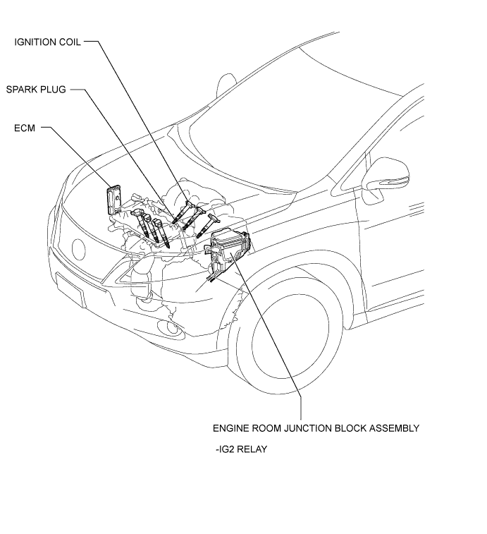 A01NLFWE01