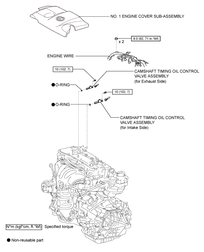 A01G8MTE01