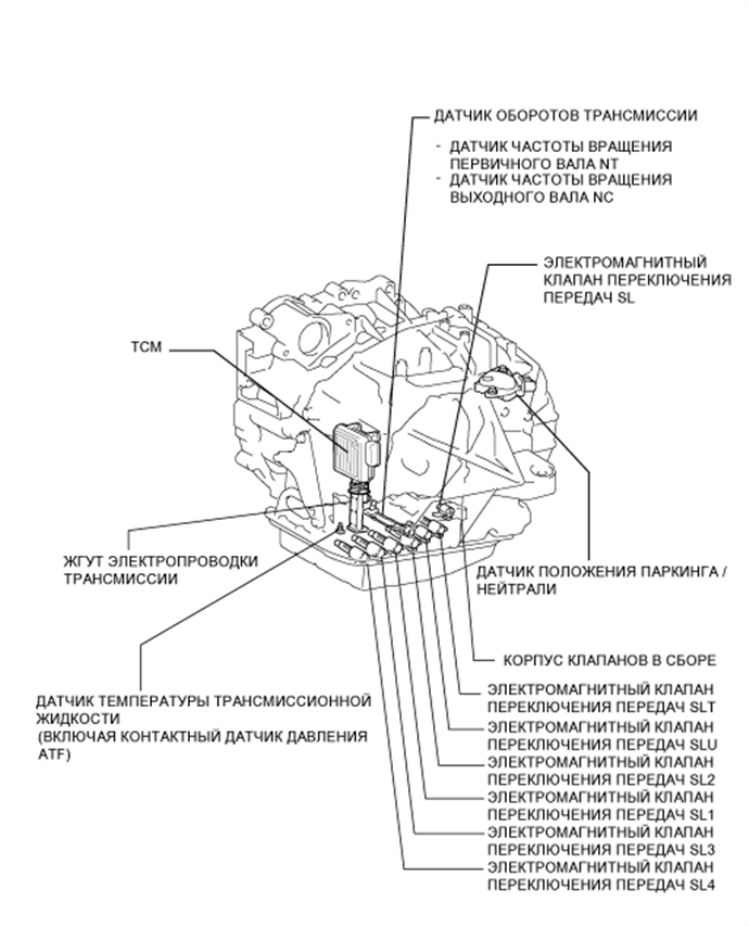 A01G50XE01