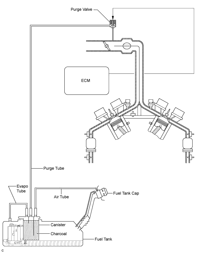 A01CBJAE01