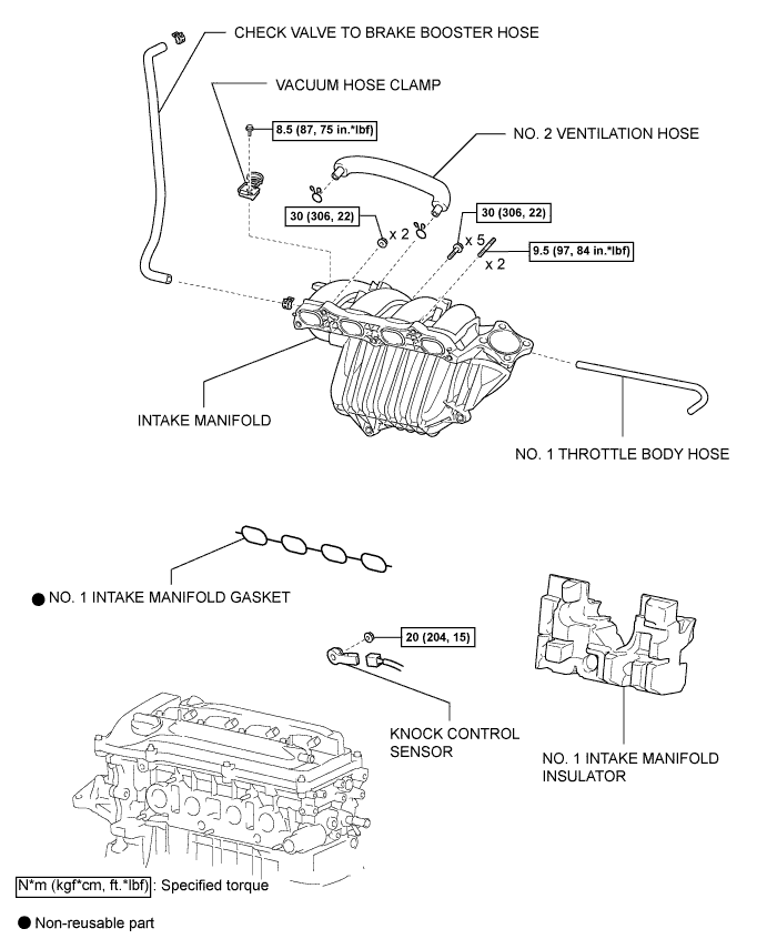 A01CELNE04