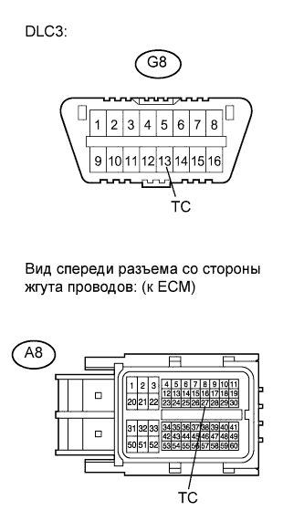 A01CFOLE05