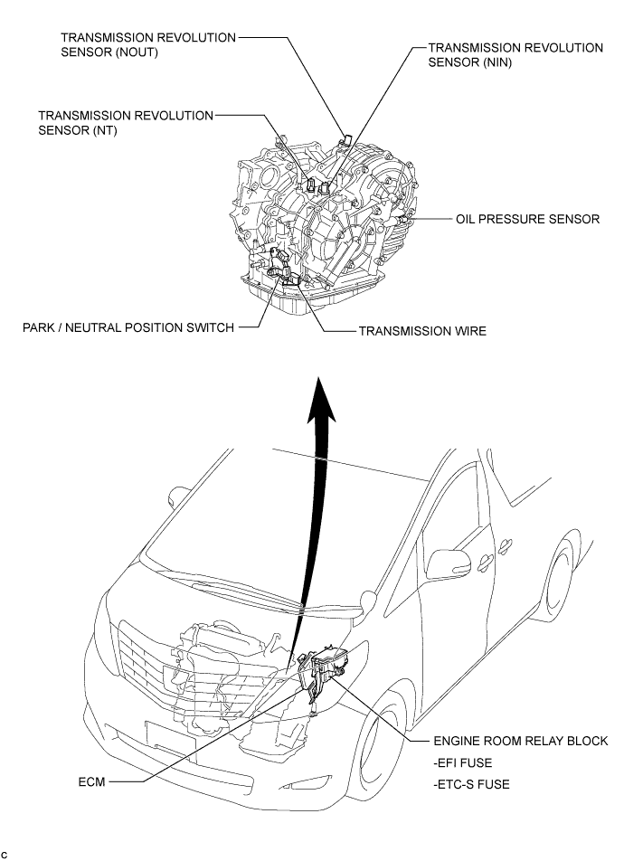 A01CGAYE01