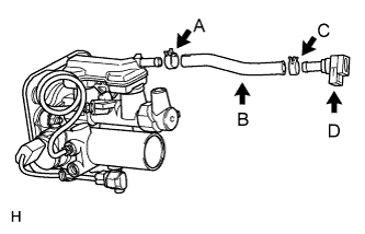 A01GMYZE01