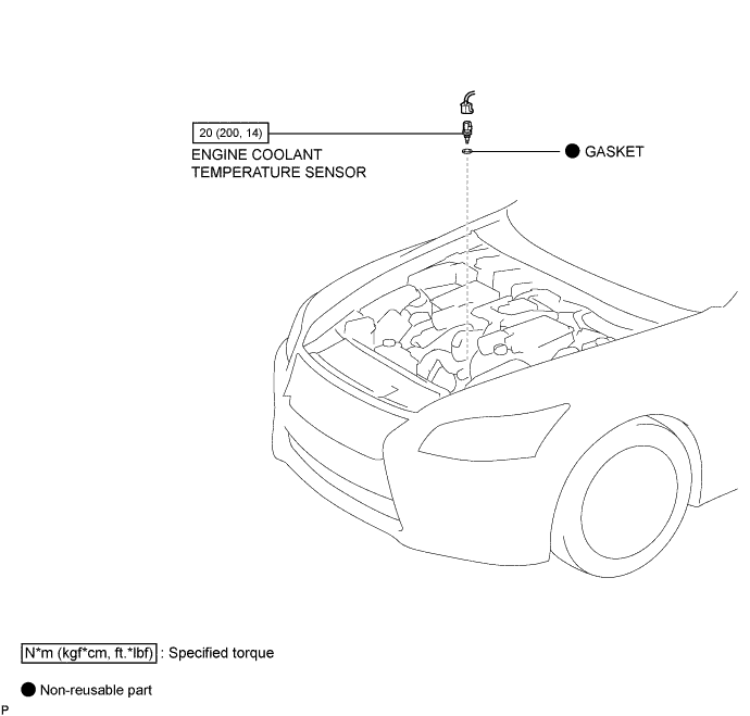 A01GNPNE02