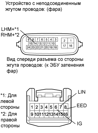 A01GYFPE01