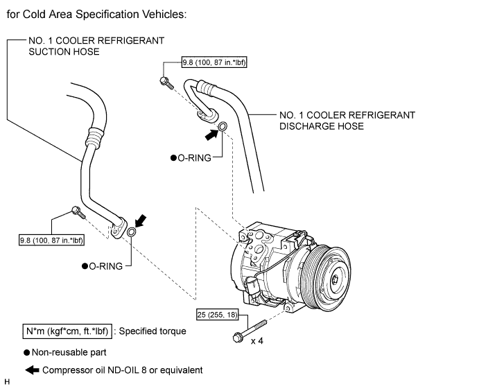 A01DSRYE01