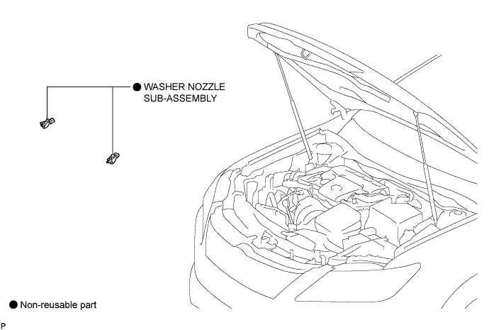 A01HOANE01