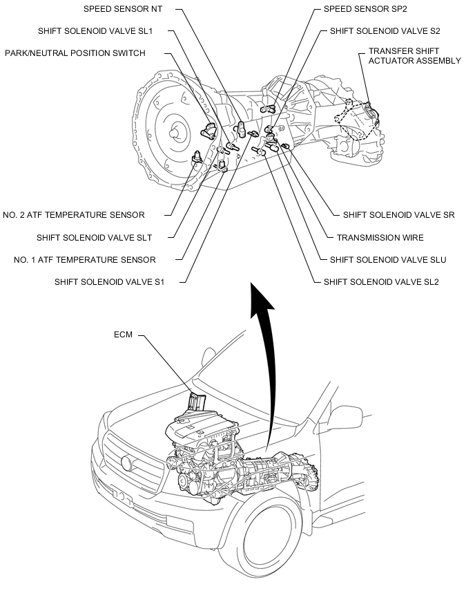 A01XANME03