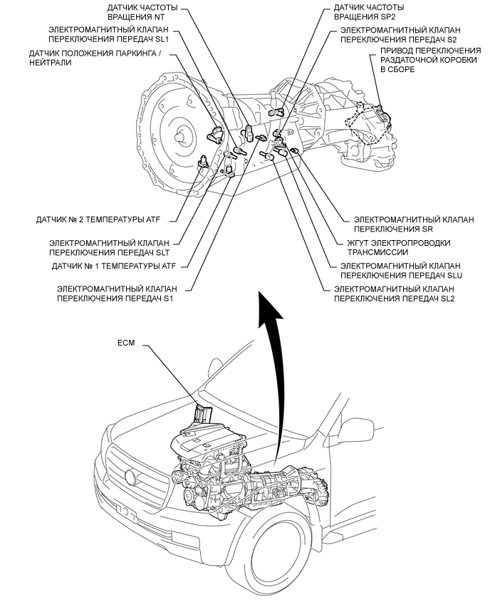 A01XANME03