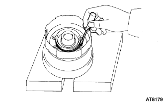 A003DNA