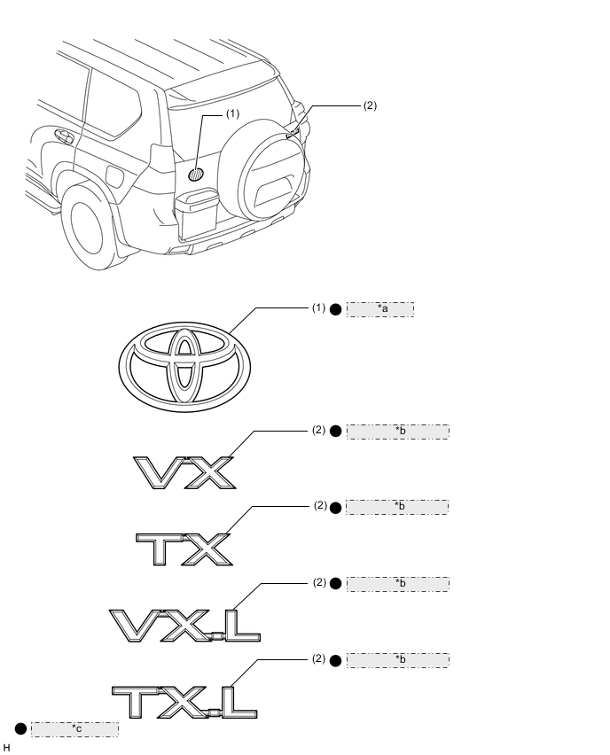 A01XCYZE02