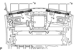 A01M1DZC01