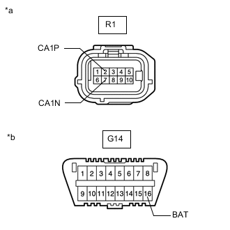 A01KCPPC01