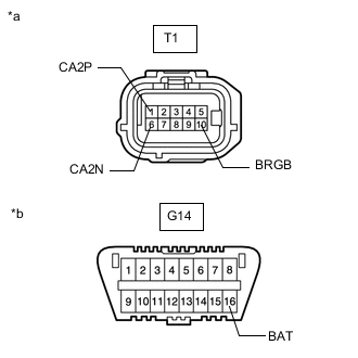 A01KCPPC04