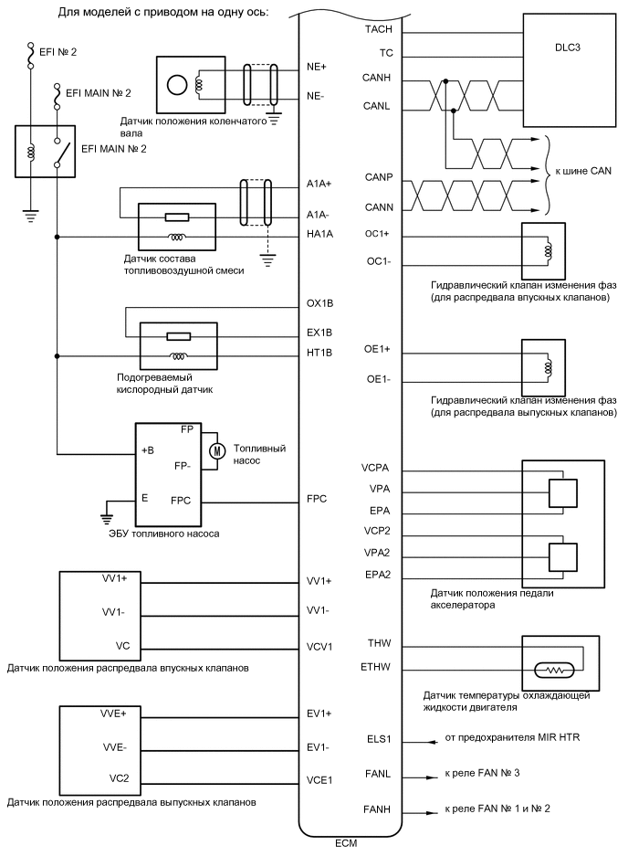 A01CYGTE01