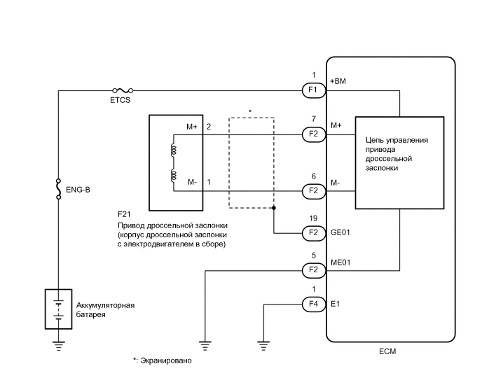 A01MUR5E02