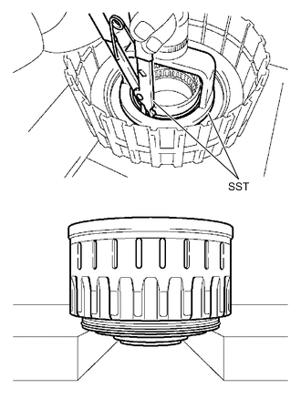 A01MYRHN01