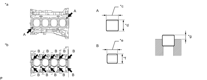 A01CMUSC08